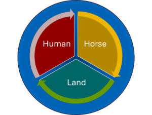 3 part circle inside a blue circle. Left red part reads human, right yellow part reads horse and center lower part reads land.